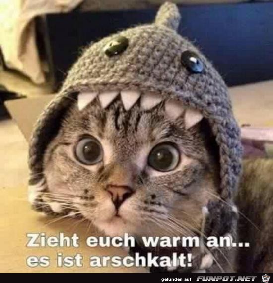 zieht euch warm an.....