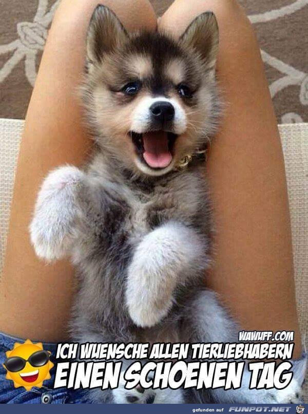 Einen schoenen Tag Einen schoenen Tag