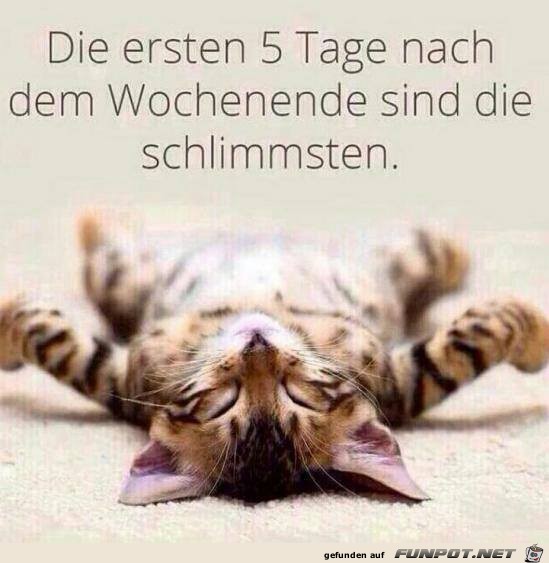Die ersten 5 Tage Die ersten 5 Tage