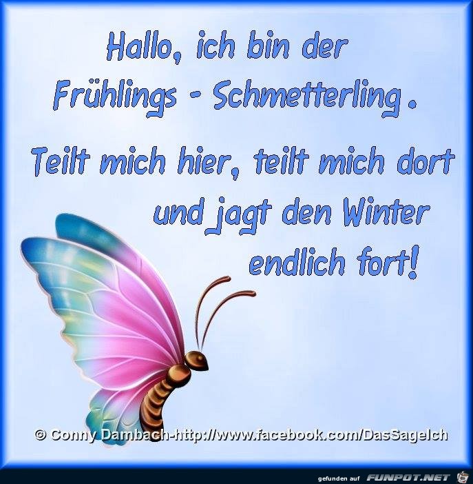 Bin der Fruehlings - Schmetterling Bin der Fruehlings - Schmetterling