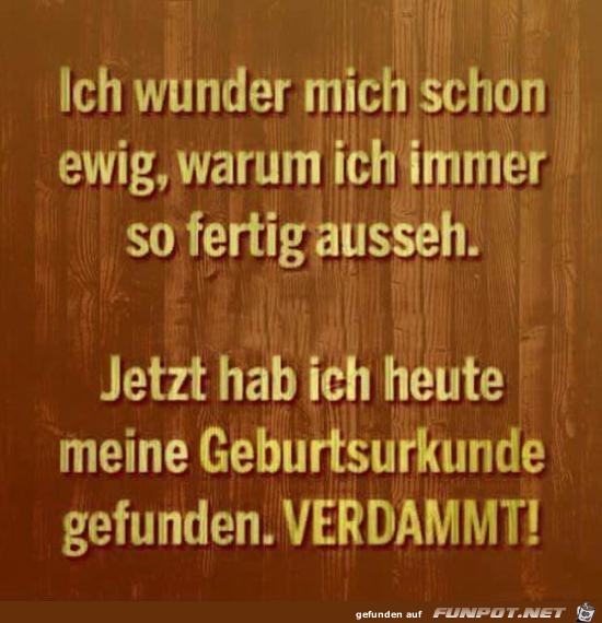 Sowas Blödes Sowas Blödes