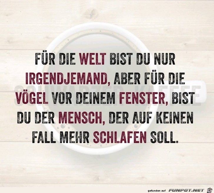 Das stimmt leider Das stimmt leider