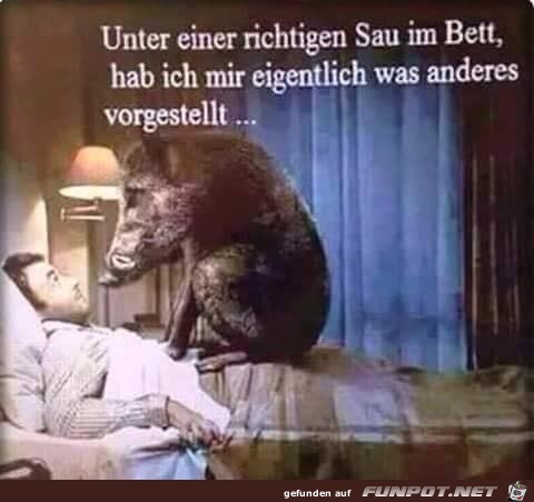 Eine Sau Eine Sau