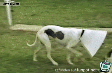 Gewußt wie Gewußt wie