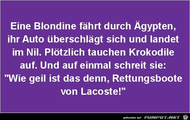 eine Blondine fhrt duch gypten...