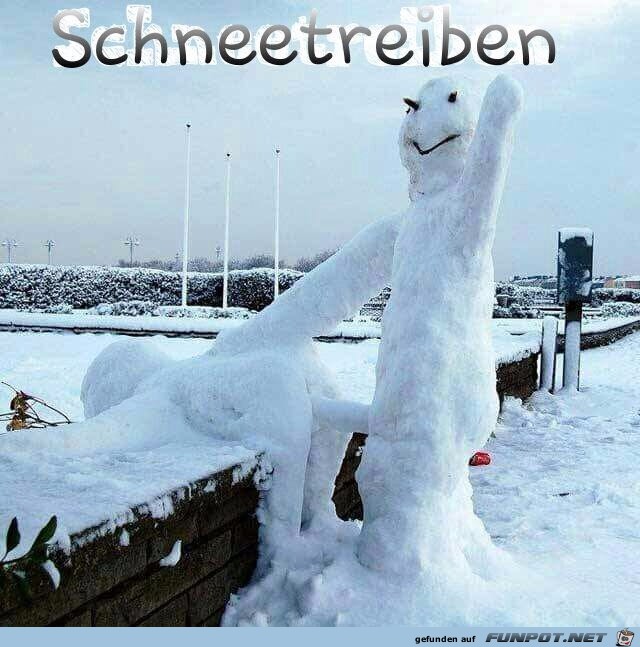 Schneetreiben