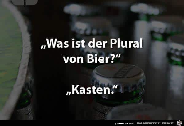 Plural Plural