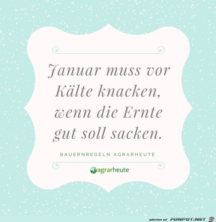 Bauernspruch Januar