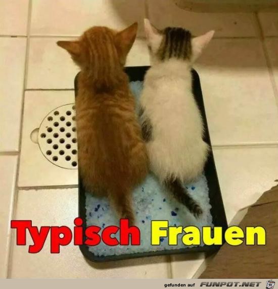 Typisch Frau