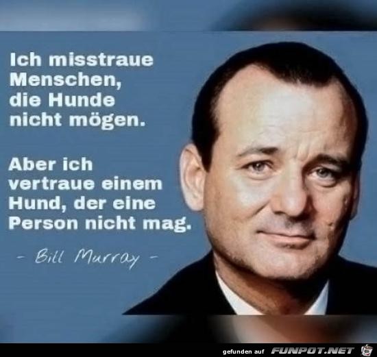 Weiser Mann Weiser Mann