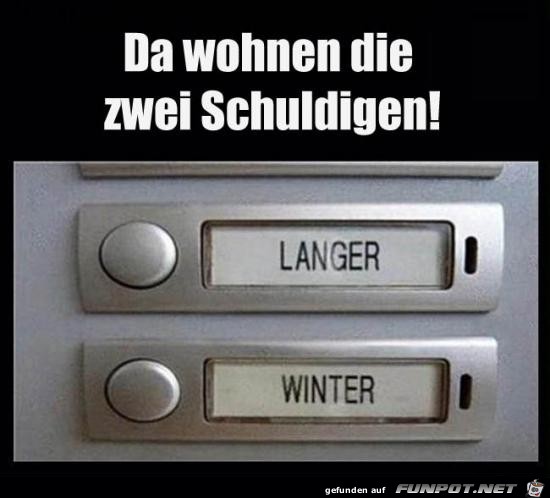 Die sind schuld Die sind schuld