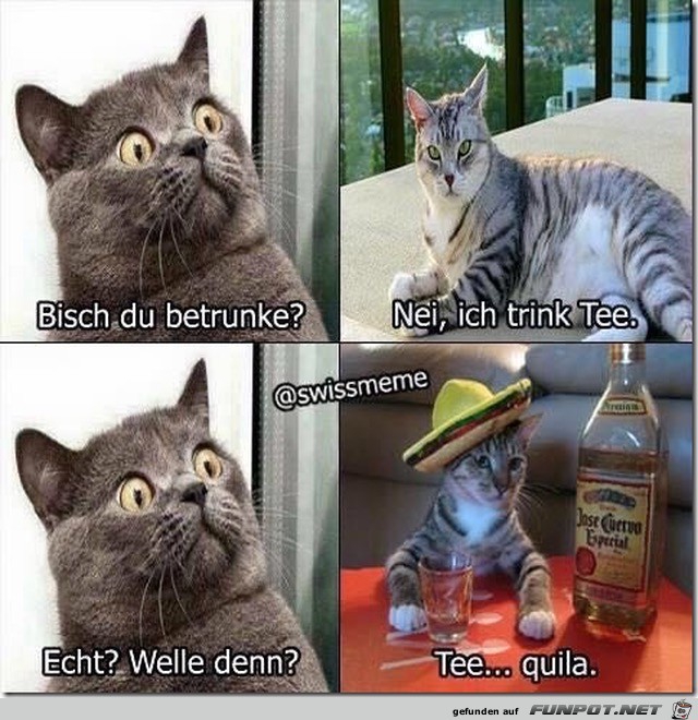 nei, ich trink Tee.... nei, ich trink Tee....