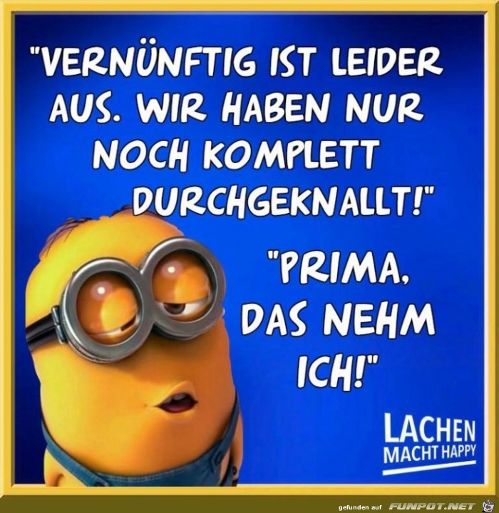 Vernuenftig ist leider aus