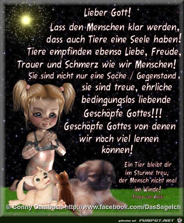 Lass den Menschen klar werden Lass den Menschen klar werden