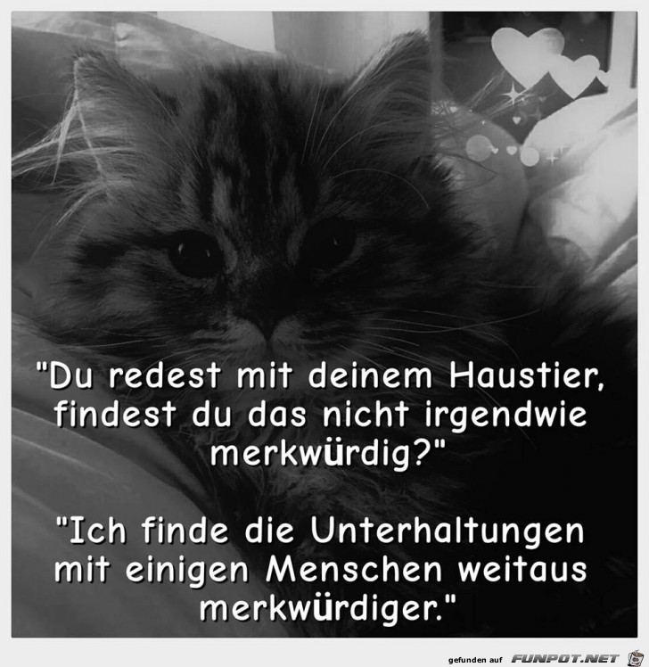 Du redest mit deinem Haustier Du redest mit deinem Haustier