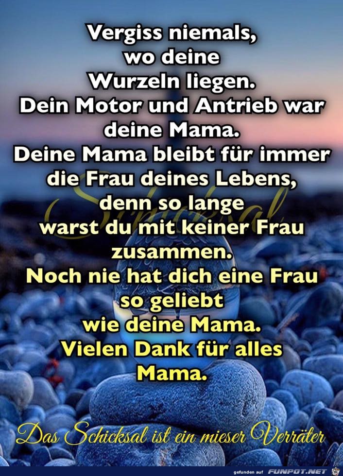 Vergiss niemals Vergiss niemals