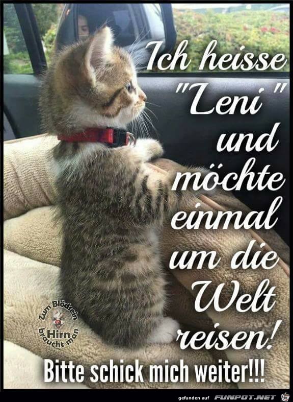 Moechte bitte einmal um die Welt Moechte bitte einmal um die Welt