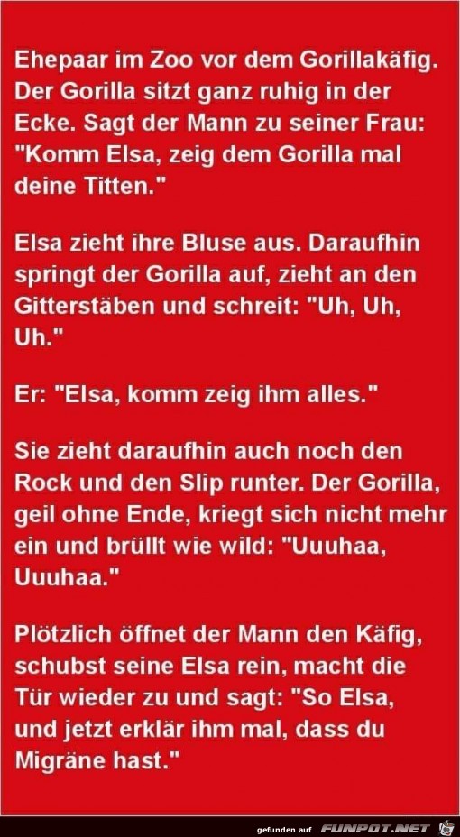 Ehepaar im Zoo...