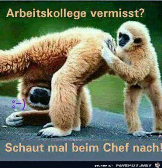 Arbeitskollege vermisst? Arbeitskollege vermisst?