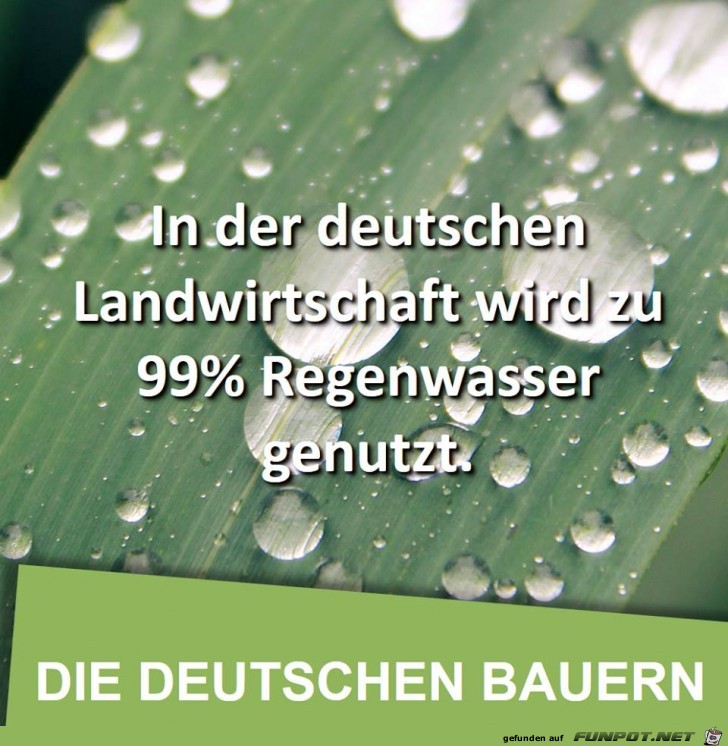 Regenwasser Regenwasser