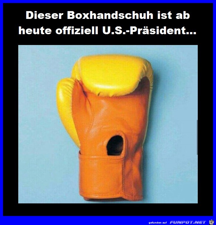 Dieser Boxhandschuh