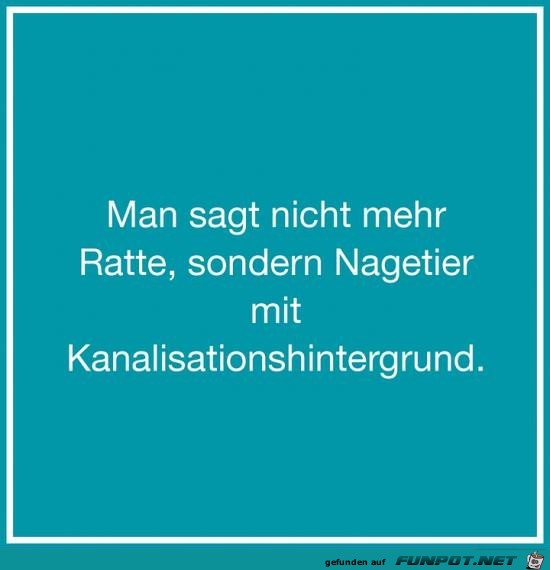 Nagetier Nagetier