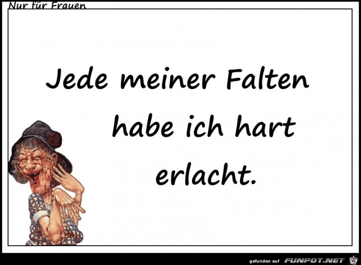 Jede meiner Falten Jede meiner Falten