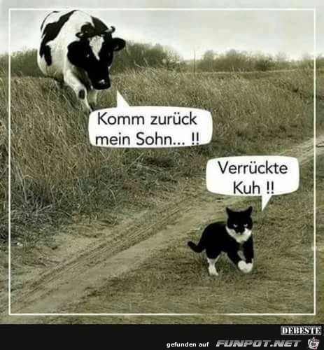 Komm zurueck mein Sohn Komm zurueck mein Sohn