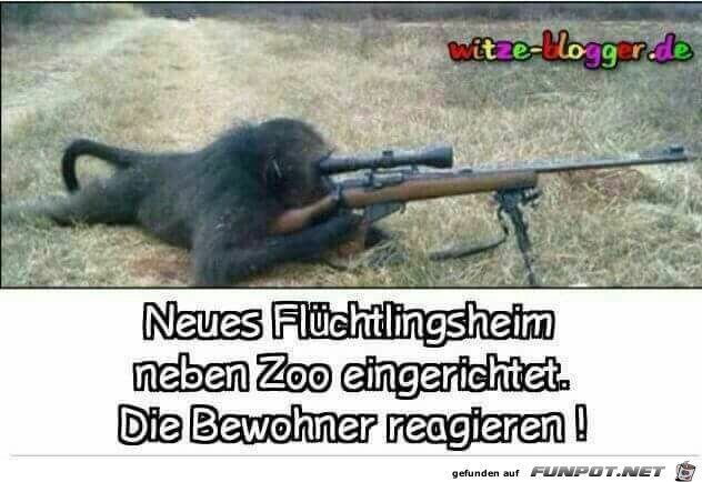 Neues Fluechtlingsheim Neues Fluechtlingsheim