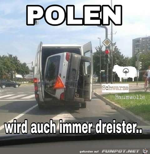 Wird immer dreister Wird immer dreister