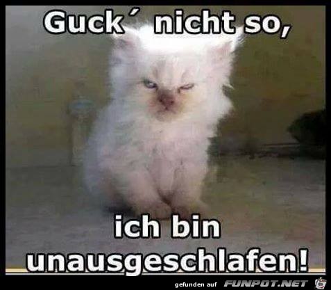 Guck nicht so Guck nicht so
