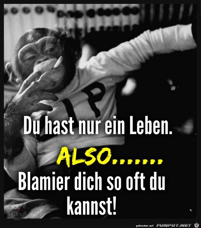 Du hast nur ein Leben Du hast nur ein Leben