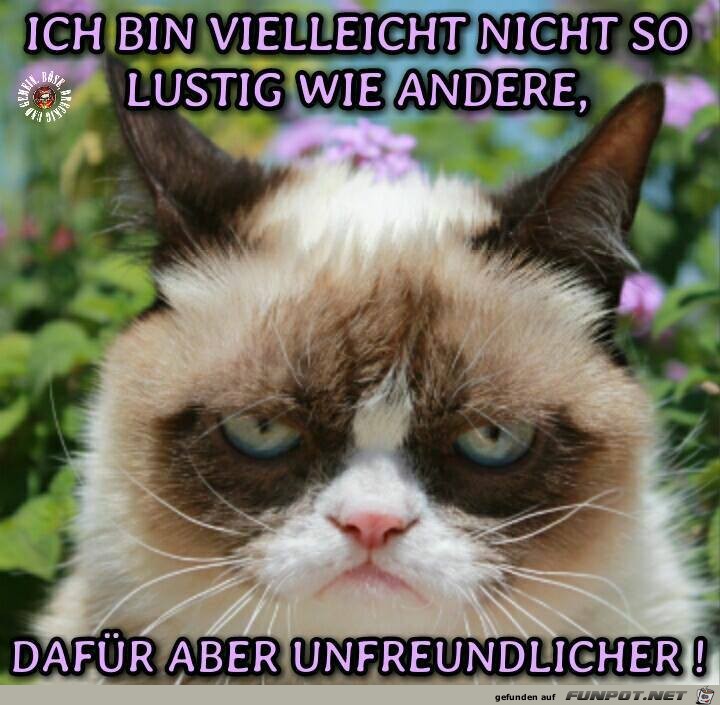 Bin vielleicht nicht so lustig Bin vielleicht nicht so lustig