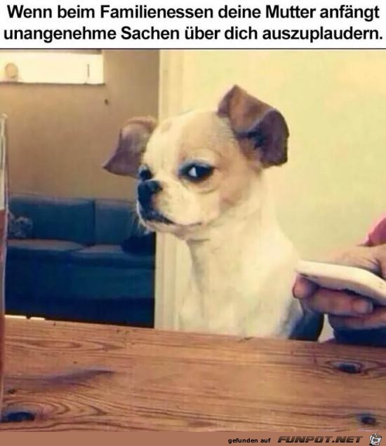 wenn beim Familienessen deine Mutter anfngt......