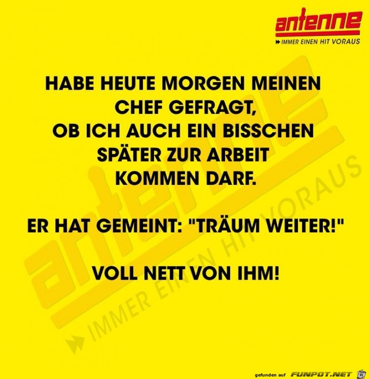 Hab heute morgen meinen Chef gefragt Hab heute morgen meinen Chef gefragt