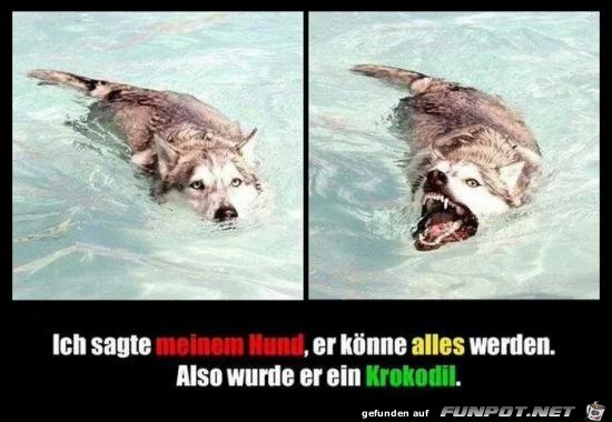Krokodil Krokodil