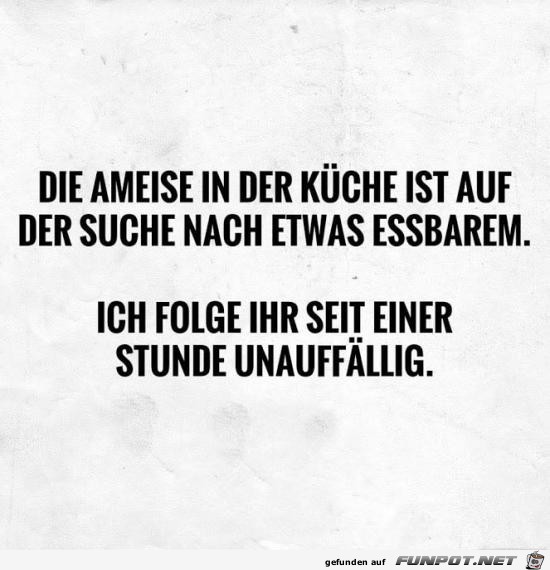 Unauffällig Unauffällig