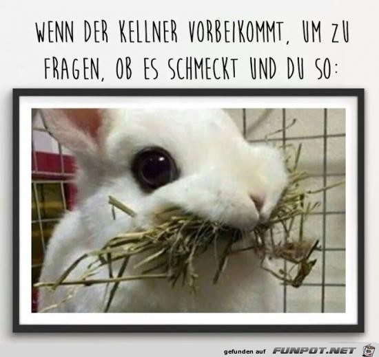 Schmeckt es? Schmeckt es?