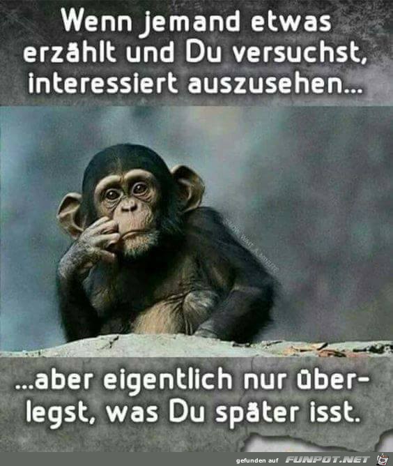 Wenn jemand was erzählt Wenn jemand was erzählt