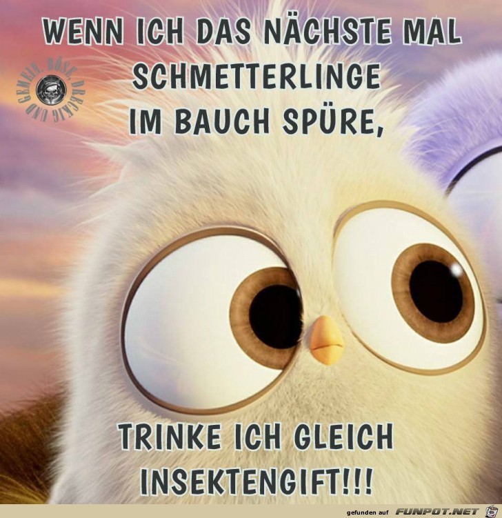 Wenn ich das naechste mal Wenn ich das naechste mal