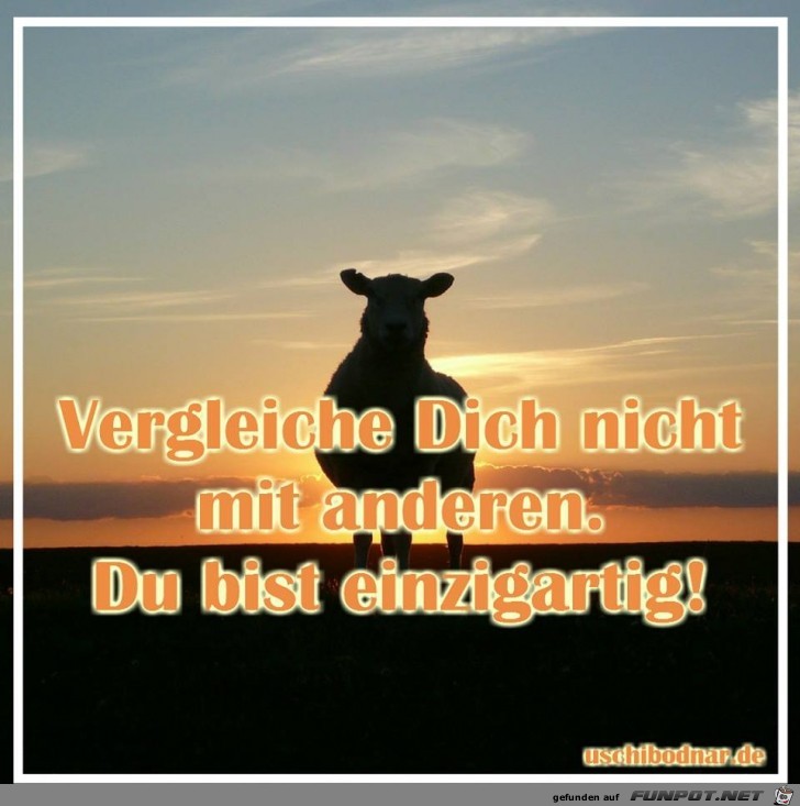 Vergleiche dich nicht mit anderen Vergleiche dich nicht mit anderen