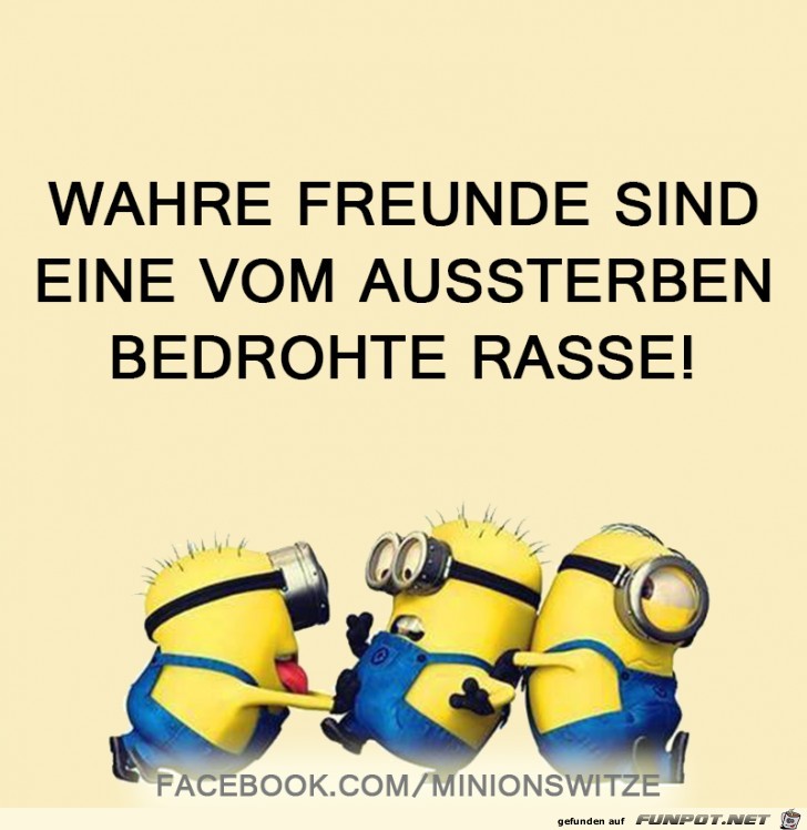 Wahre Freunde