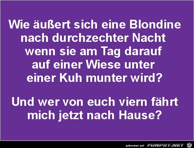 wie äussert sich eine Blondine ????..... wie äussert sich eine Blondine ????.....