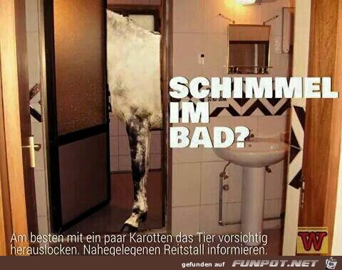 Abhilfe bei Schimmel im Bad Abhilfe bei Schimmel im Bad