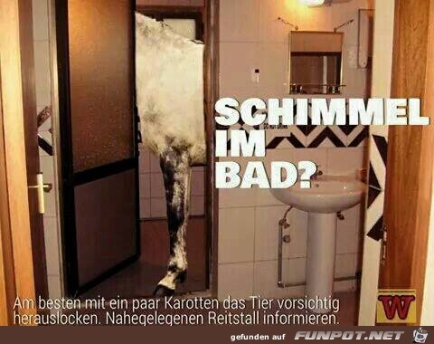 Abhilfe bei Schimmel im Bad