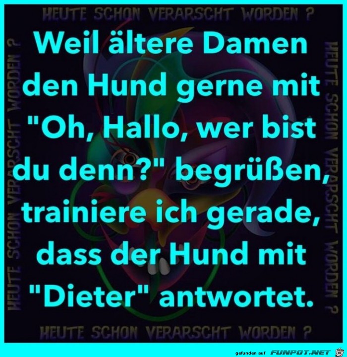 Aeltere Damen Aeltere Damen