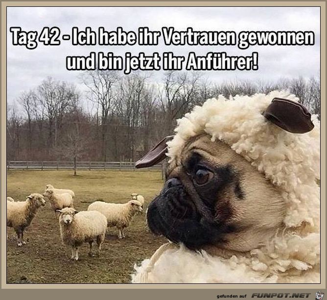 Ich bin jetzt Ihr Anfuehrer Ich bin jetzt Ihr Anfuehrer