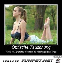 optische Tuschung