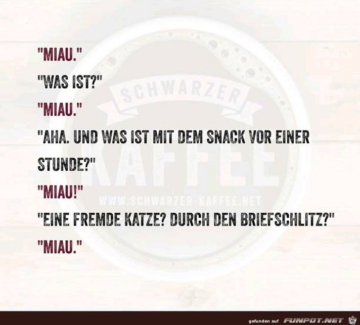 Katzensprache Katzensprache