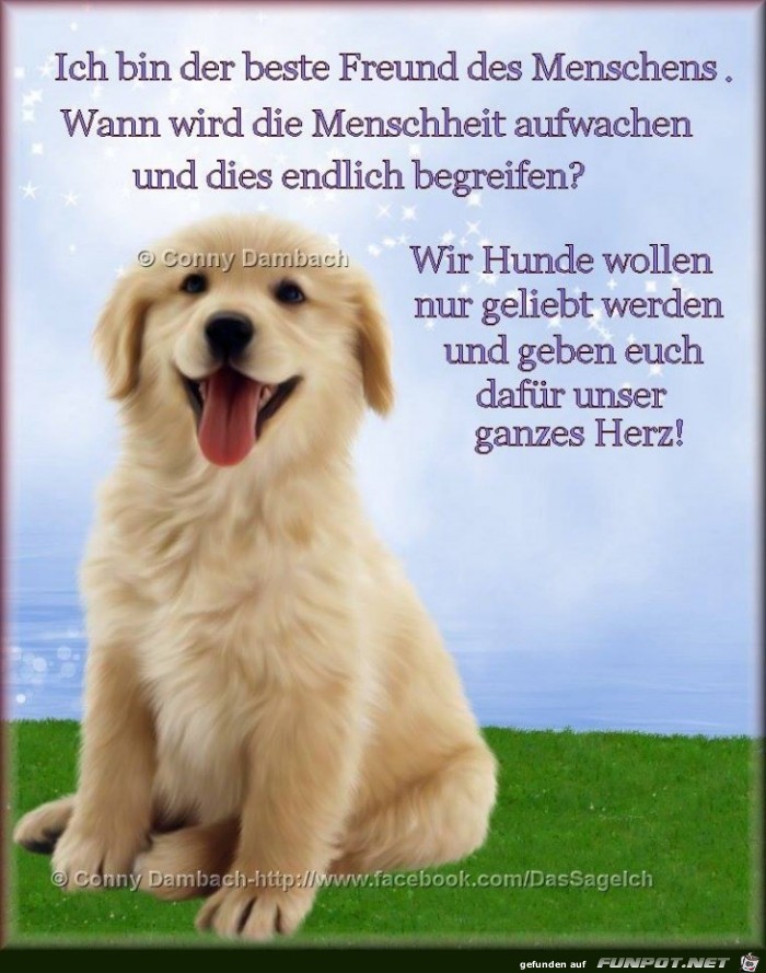 Bin der beste Freund des Menschen Bin der beste Freund des Menschen